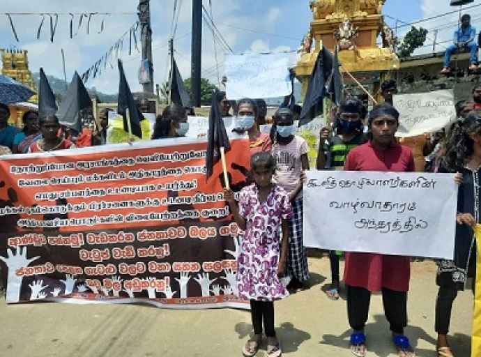 எதிர்காலத்தில் புல் மற்றம் புண்ணாக்கே இலங்கை மக்களுக்கு உணவு