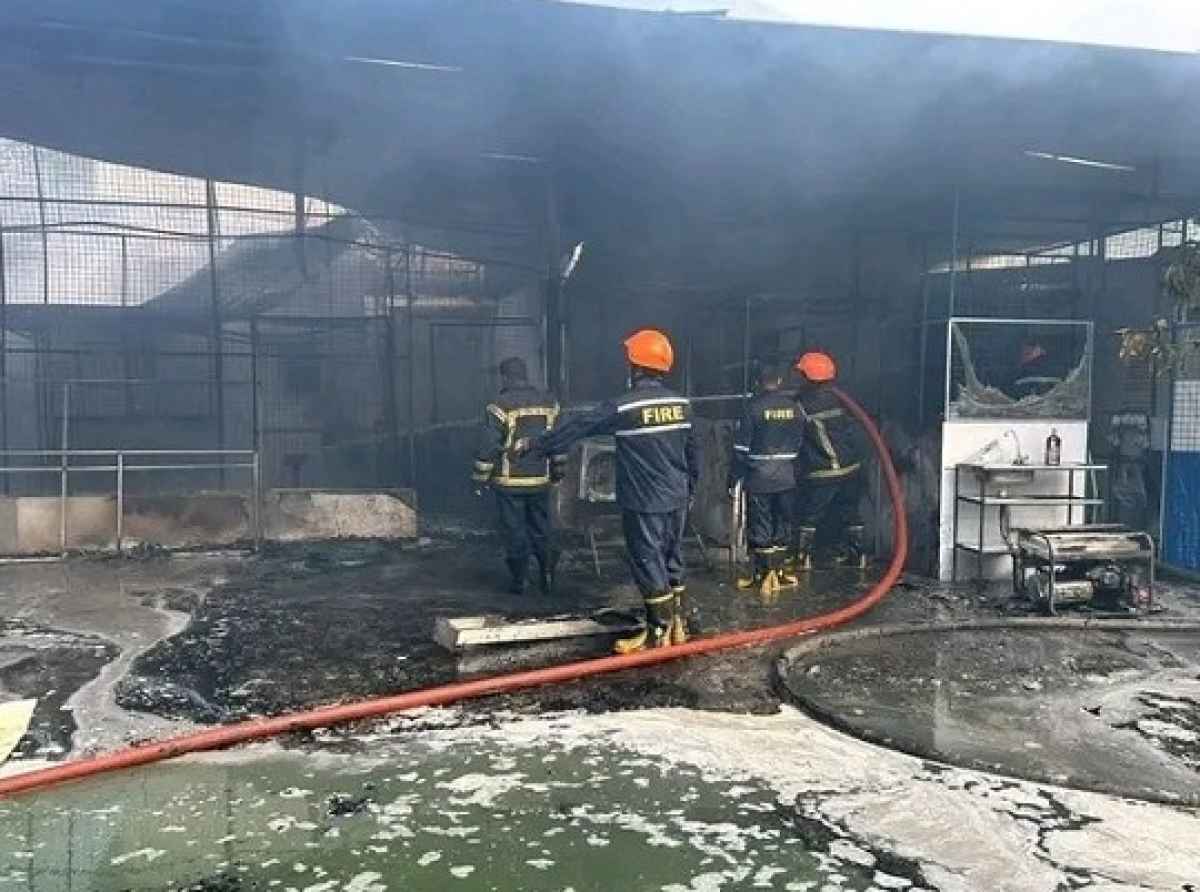 கந்தானையிலுள்ள இரசாயன தொழிற்சாலையில் தீ விபத்து: ஒருவர் உயிரிழப்பு